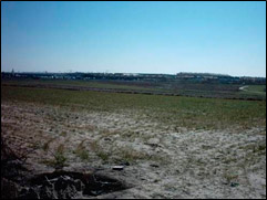 ferrovialagroman